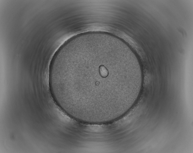 X0000111480836200907141216