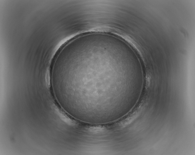 X0000111480838200907141216