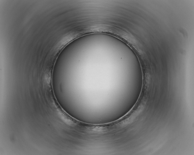 X0000111480841200907141216