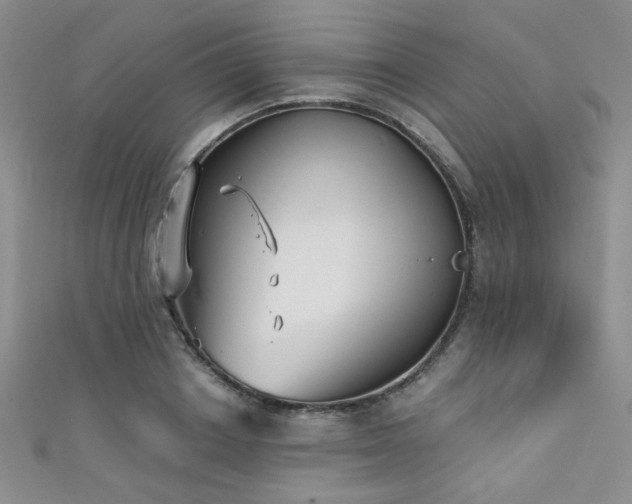 X0000111480842200907141216