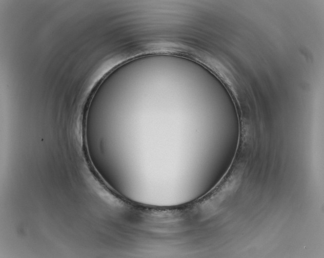 X0000111480843200907141216