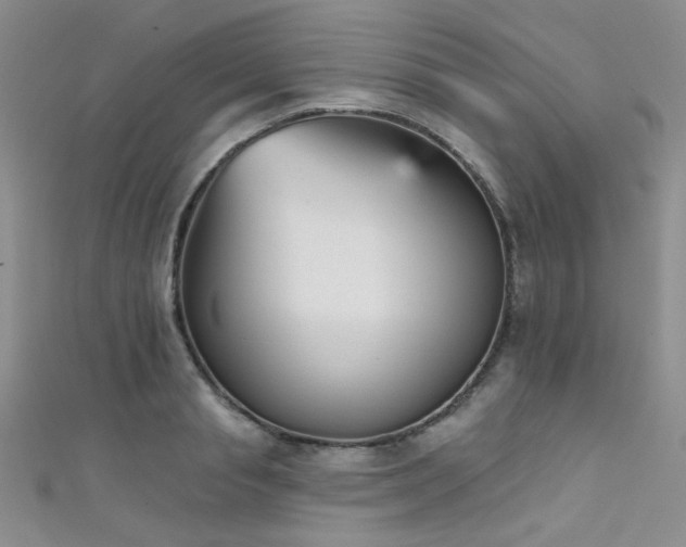 X0000111480845200907141216