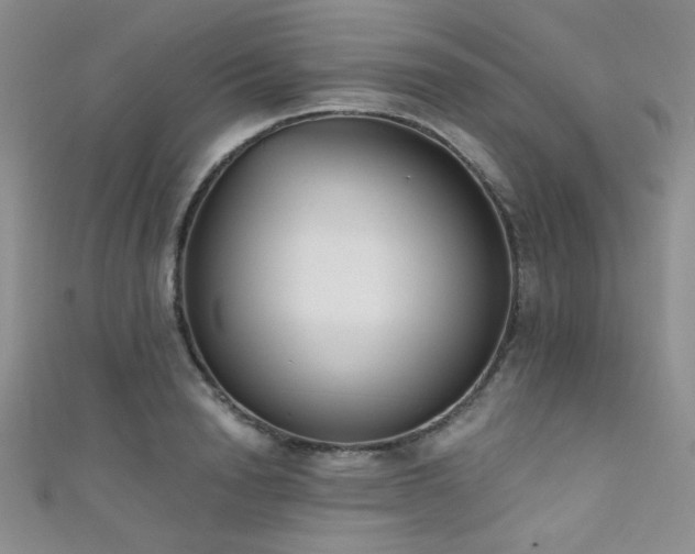 X0000111480846200907141216