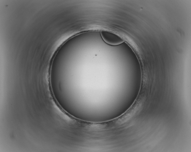 X0000111480847200907141216