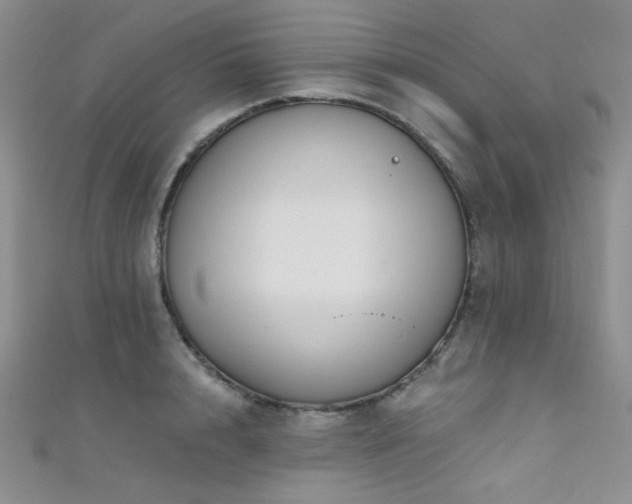 X0000111480848200907141216