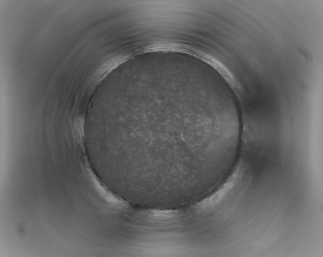 X0000111480849200907141216