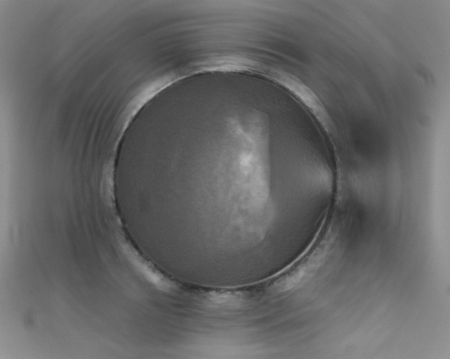 X0000111480850200907141216