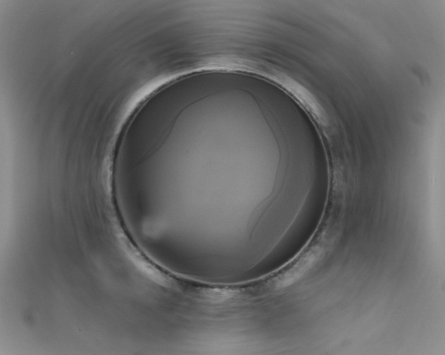 X0000111480854200907141216