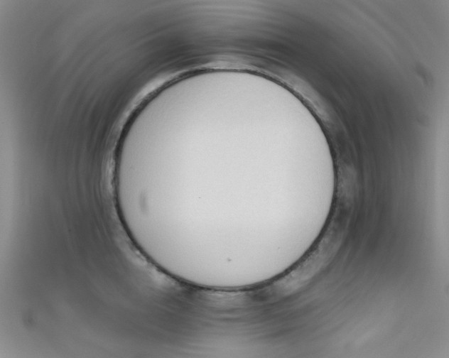 X0000111480856200907141216