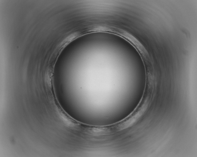 X0000111480857200907141216