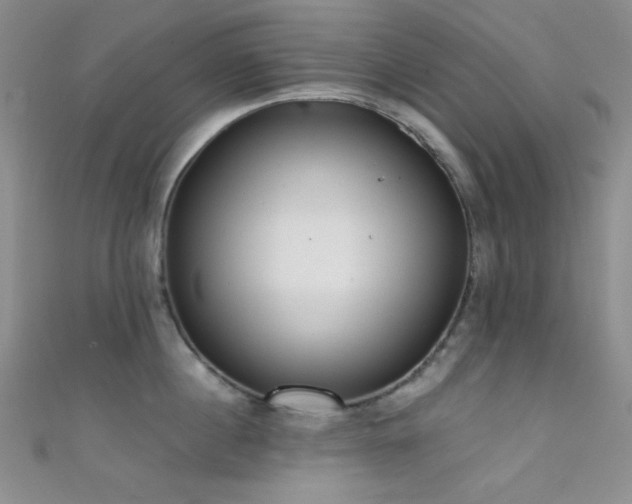 X0000111480860200907141216