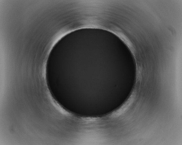 X0000111480862200907141216