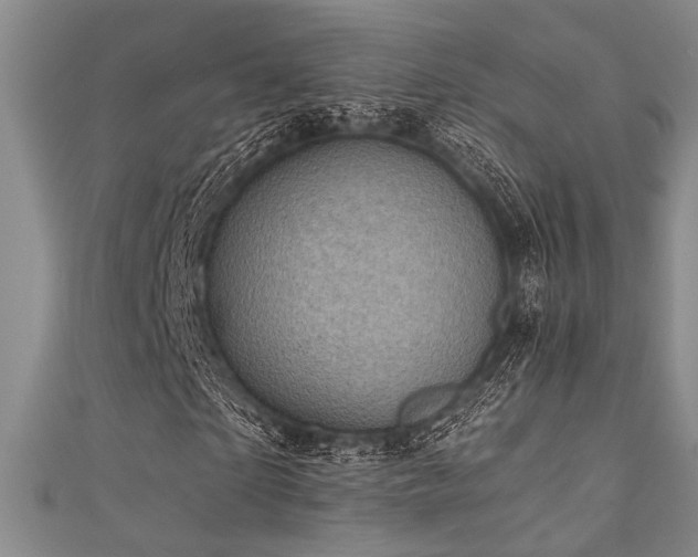 X0000111480865200907141215