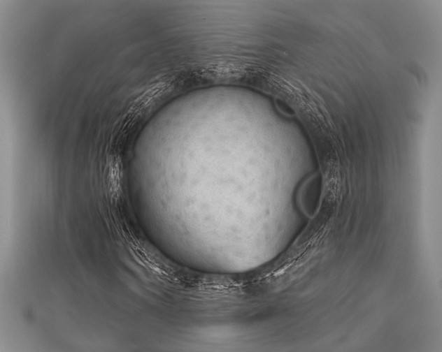 X0000111480866200907141215