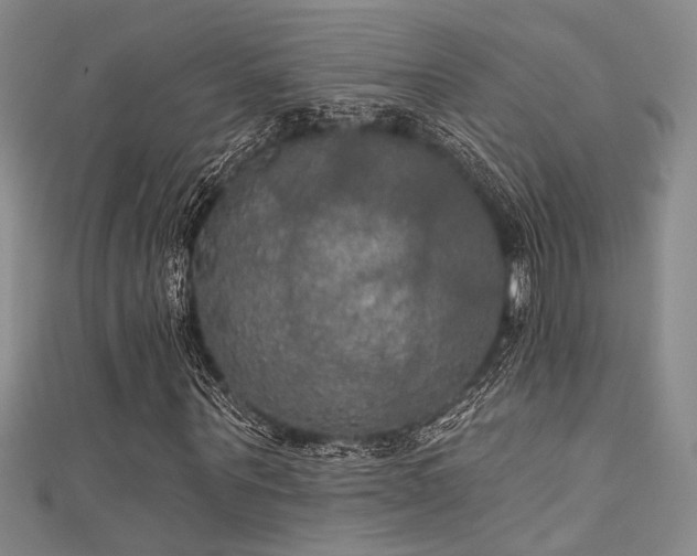 X0000111480867200907141215
