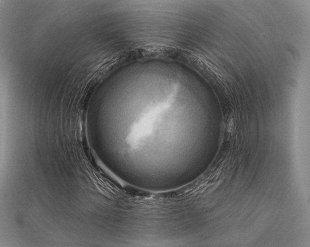 X0000111480868200907141215
