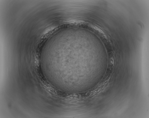 X0000111480869200907141215