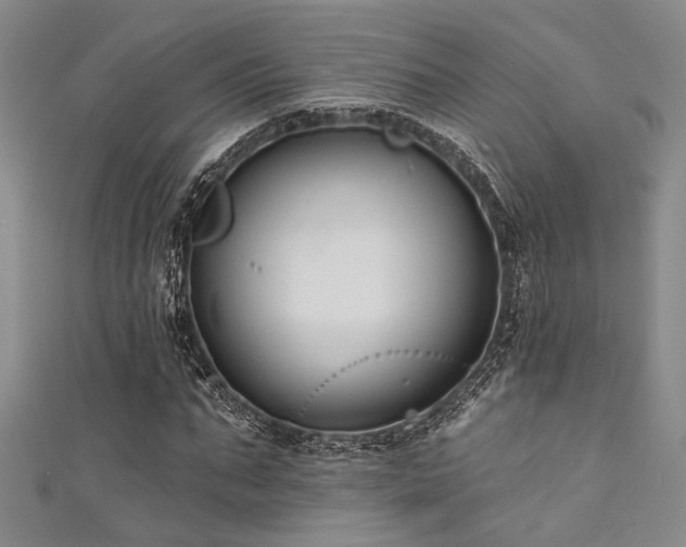 X0000111480871200907141215