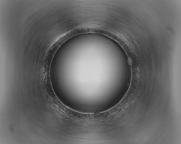 X0000111480872200907141215
