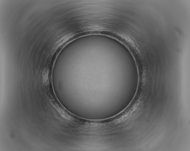 X0000111480873200907141215