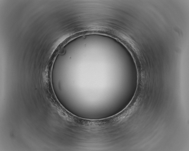 X0000111480875200907141215