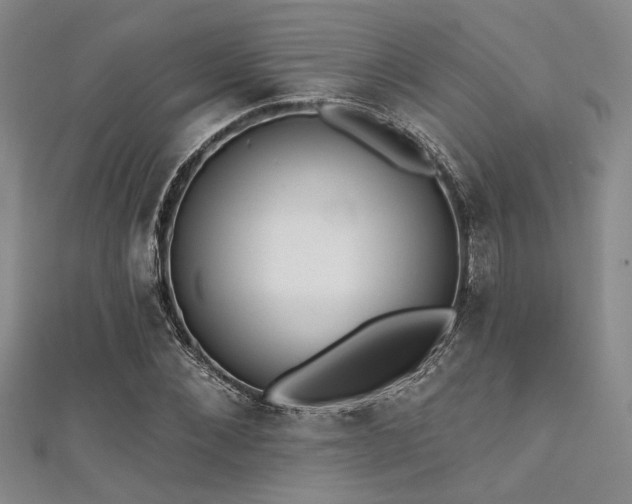 X0000111480876200907141215