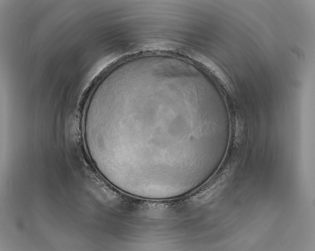 X0000111480878200907141215