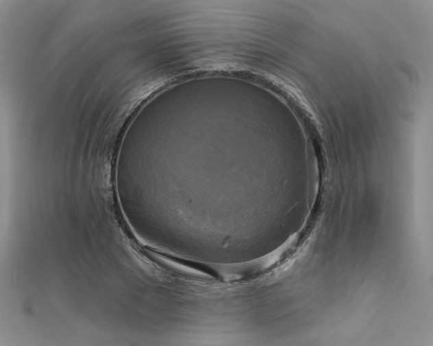 X0000111480881200907141215