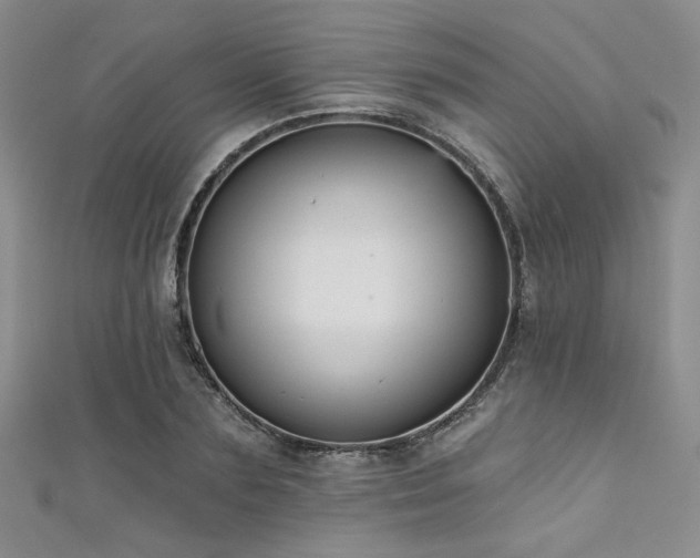X0000111480883200907141215