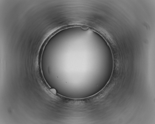 X0000111480884200907141215