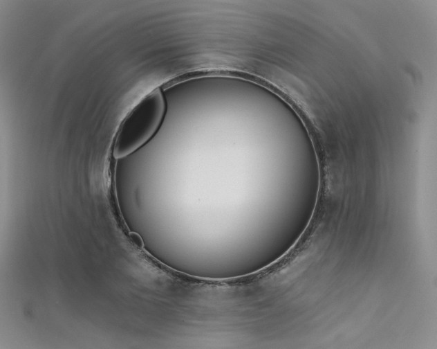 X0000111480885200907141215