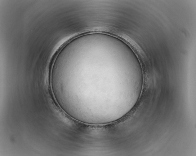 X0000111480886200907141215