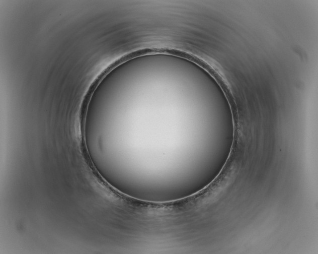 X0000111480887200907141215