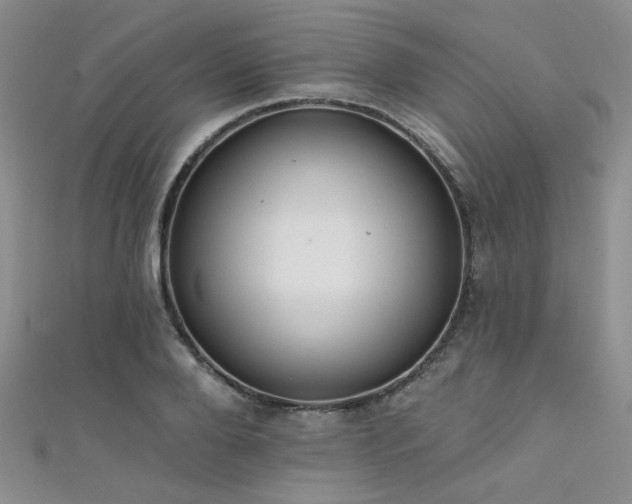 X0000111480888200907141215