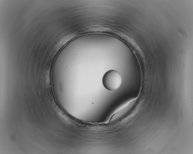 X0000111480889200907141215