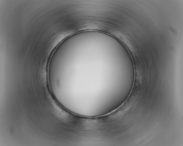 X0000111480890200907141215