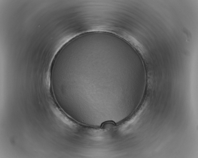 X0000111480892200907141215