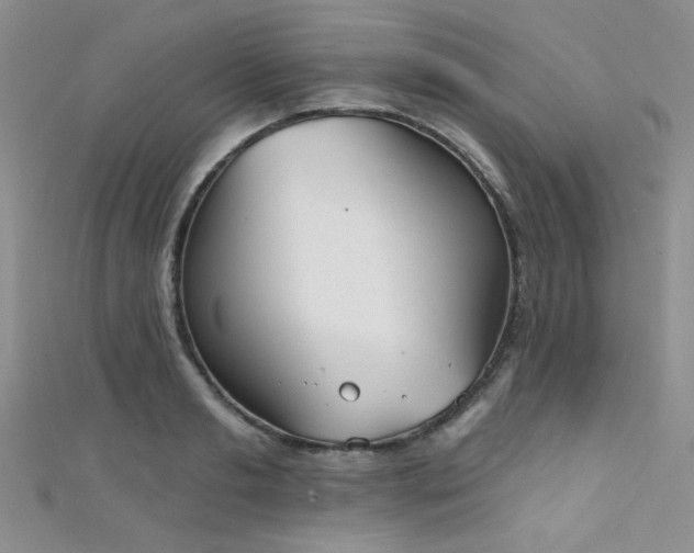 X0000111480893200907141215