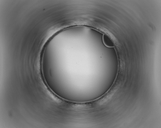 X0000111480894200907141215