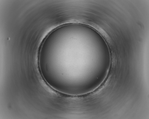 X0000111480896200907141215