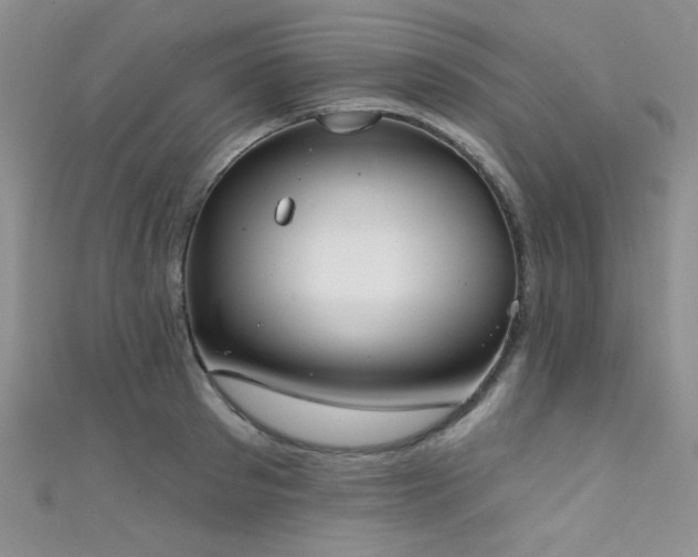 X0000111480897200907141215