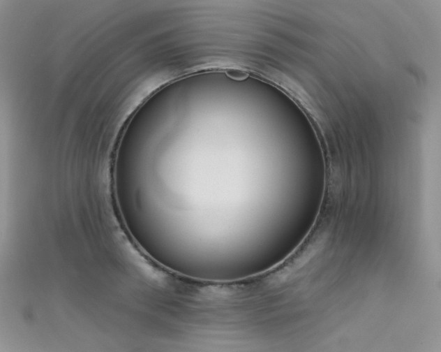 X0000111480898200907141215
