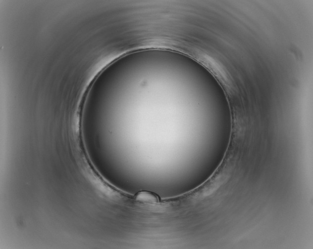 X0000111480900200907141215