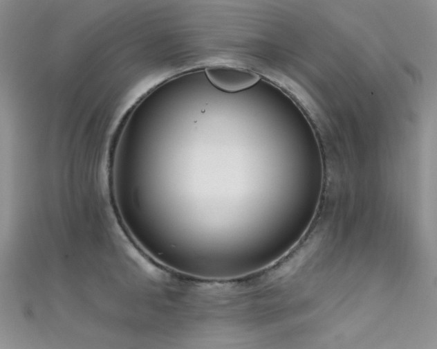 X0000111480902200907141215