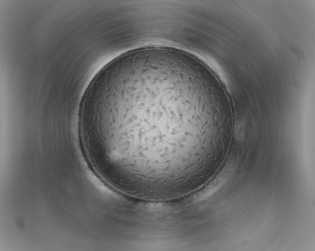 X0000111480903200907141215