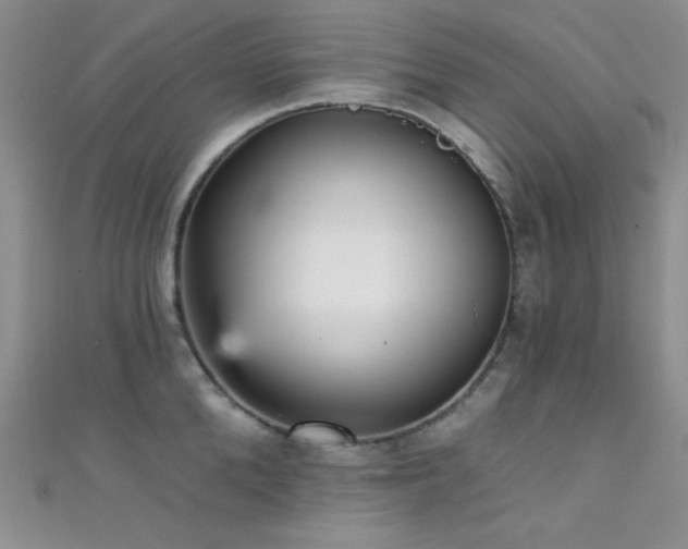 X0000111480904200907141215