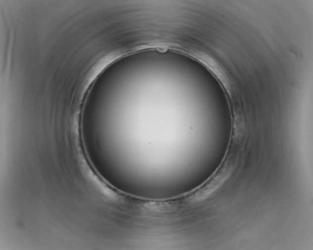 X0000111480906200907141215