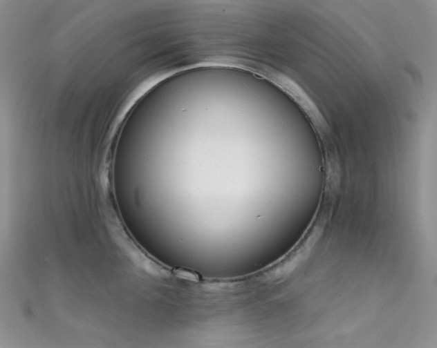 X0000111480908200907141215