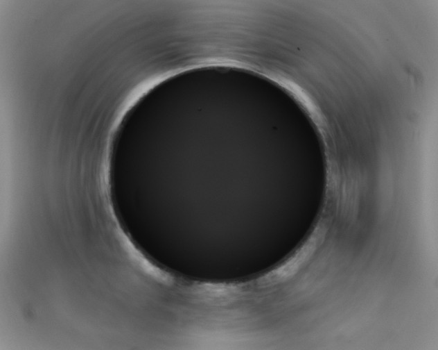 X0000111480910200907141215