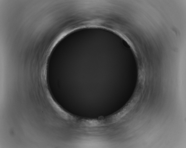 X0000111480911200907141215